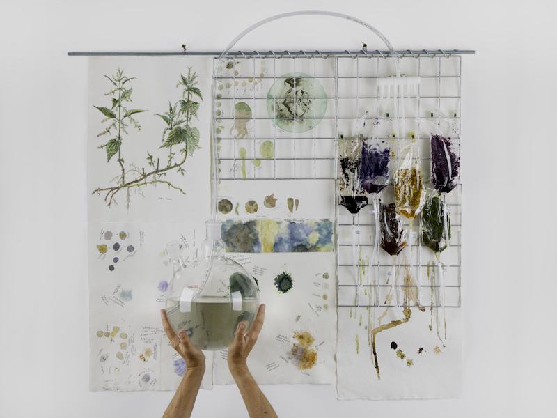 Part of the installation Circe of the Pond. Photo by Maddy Cavaliero.